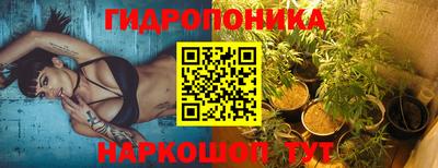 apvp Рузаевка