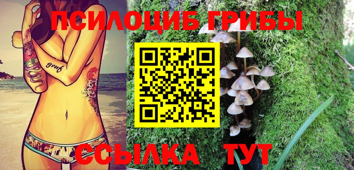 Сегежа  Псилоцибиновые грибы прущие грибы  Вход с VPN 